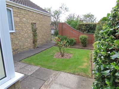 Picture 15